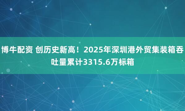 博牛配资 创历史新高！2025年深圳港外贸集装箱吞吐量累计3315.6万标箱
