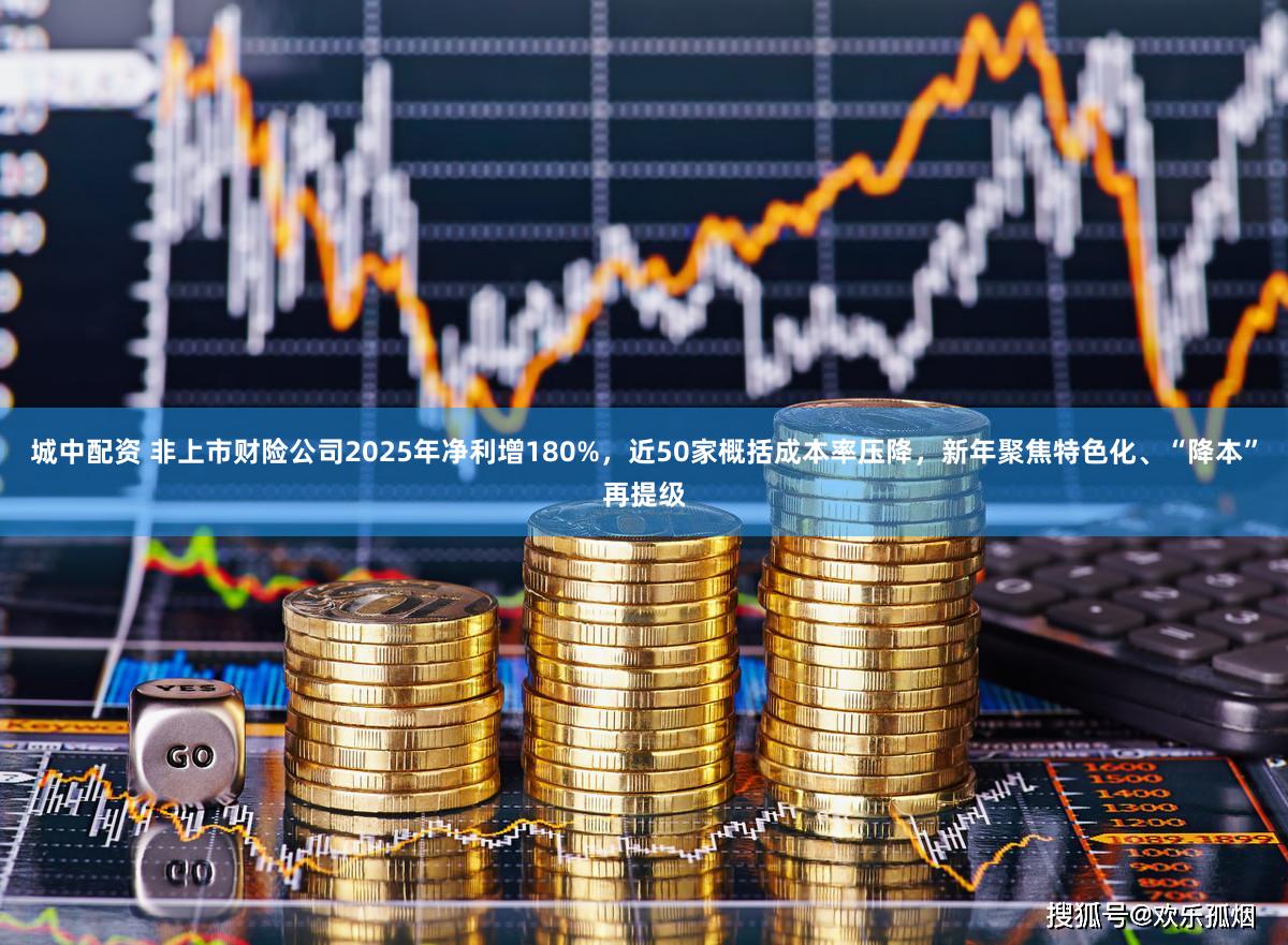 城中配资 非上市财险公司2025年净利增180%，近50家概括成本率压降，新年聚焦特色化、“降本”再提级