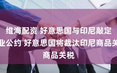 维海配资 好意思国与印尼敲定营业公约 好意思国将裁汰印尼商品关税