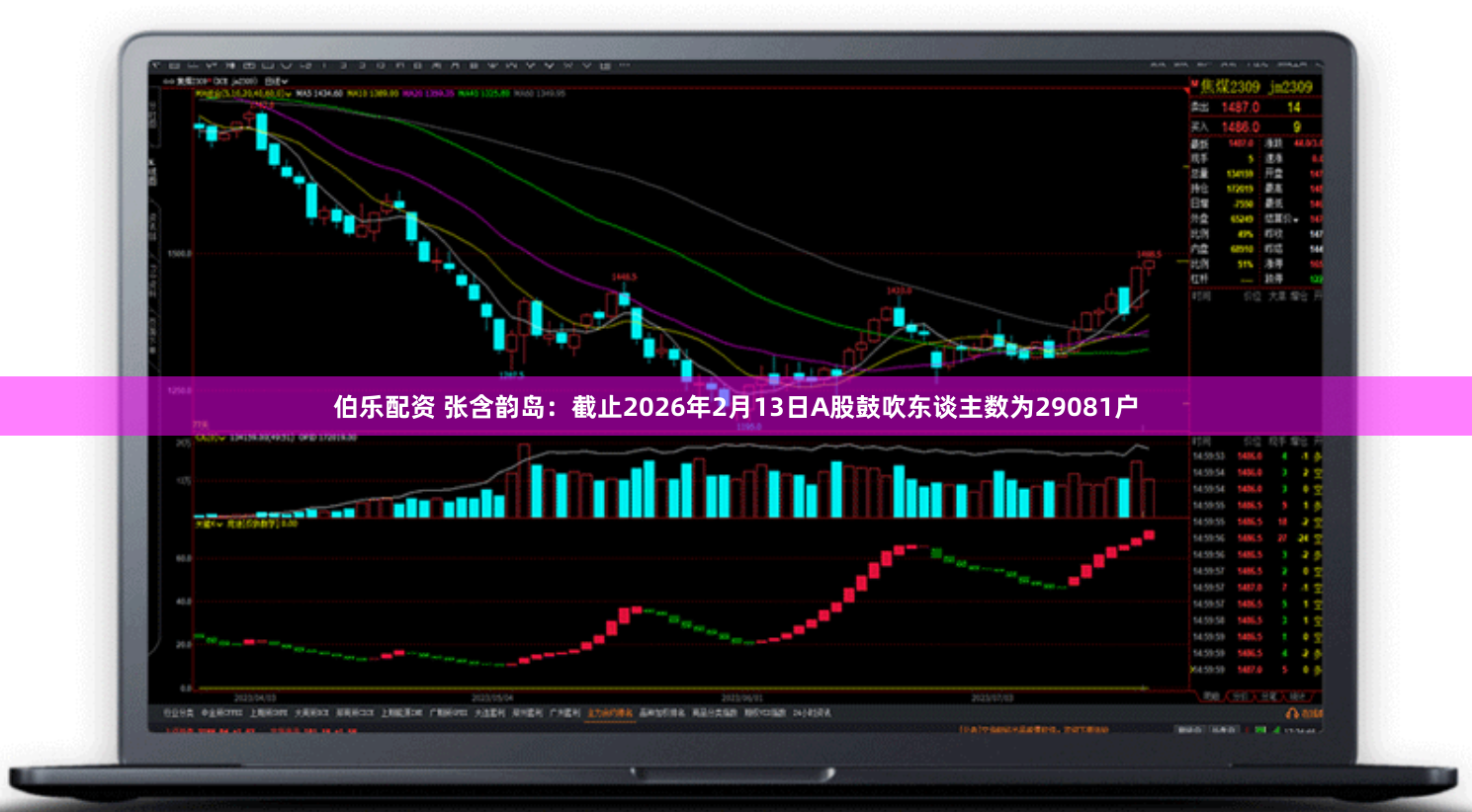 伯乐配资 张含韵岛：截止2026年2月13日A股鼓吹东谈主数为29081户