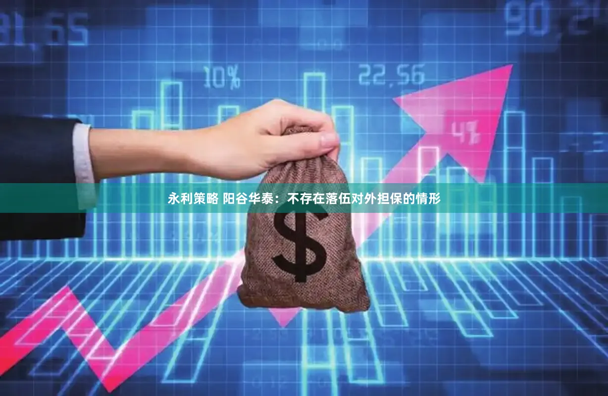 永利策略 阳谷华泰：不存在落伍对外担保的情形