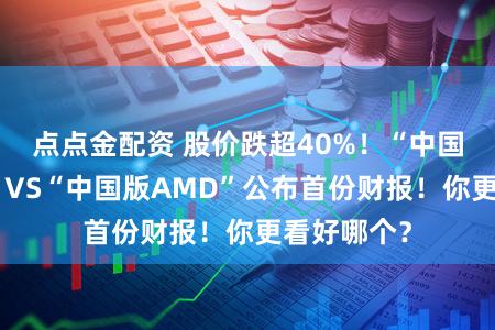 点点金配资 股价跌超40%！“中国版英伟达”VS“中国版AMD”公布首份财报！你更看好哪个？
