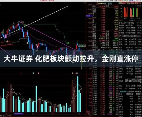 大牛证券 化肥板块颤动拉升，金刚直涨停