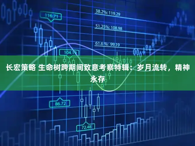 长宏策略 生命树跨期间致意考察特辑：岁月流转，精神永存