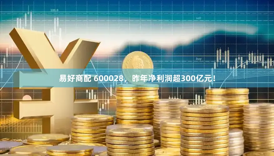 易好商配 600028,昨年净利润超300亿元!