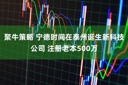 聚牛策略 宁德时间在泰州诞生新科技公司 注册老本500万